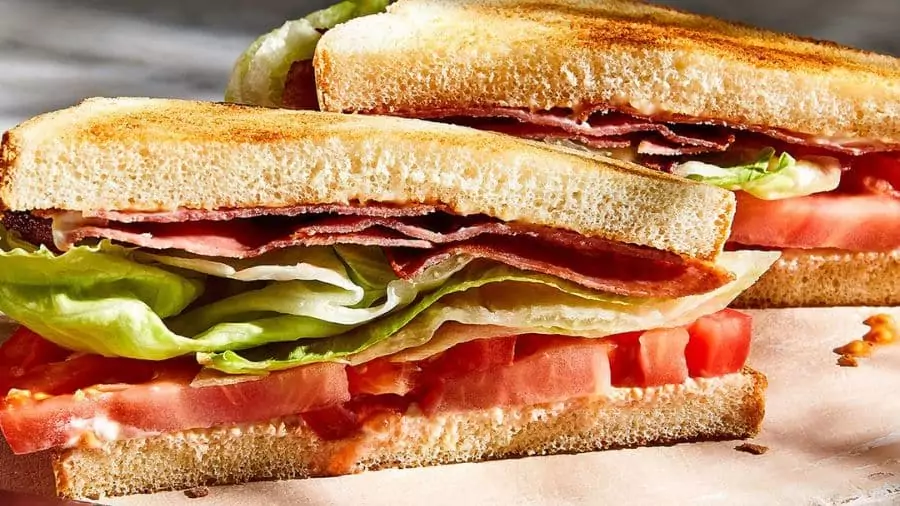 misto quente com orégano e tomate feito em uma sanduicheira